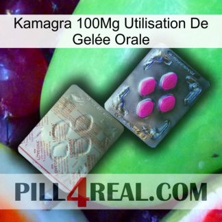Kamagra 100Mg Utilisation De Gelée Orale 38